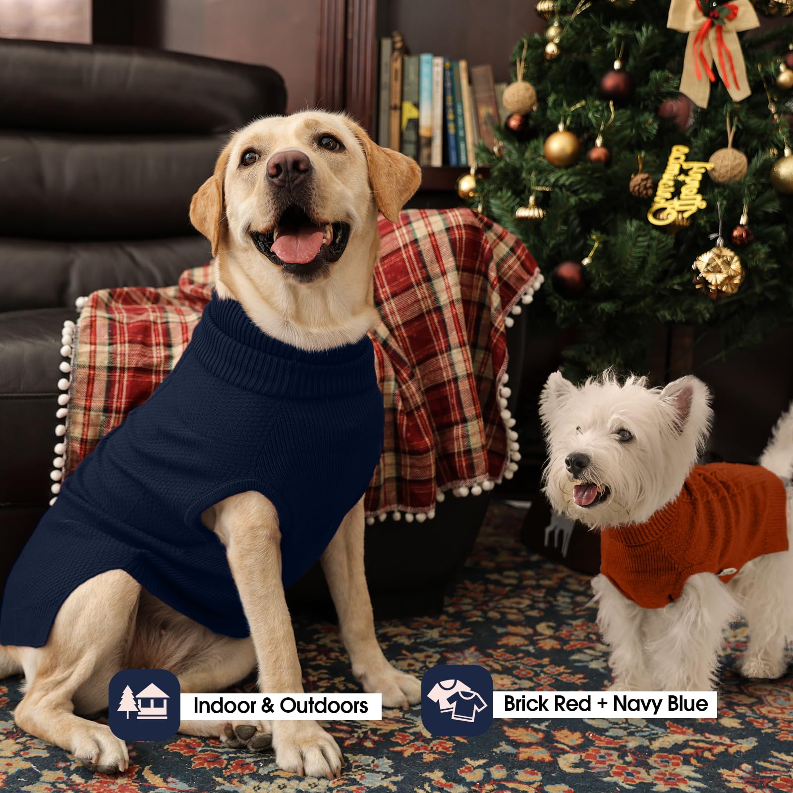 IECOii gilet chien lavable en machine, entretien facile et rapide