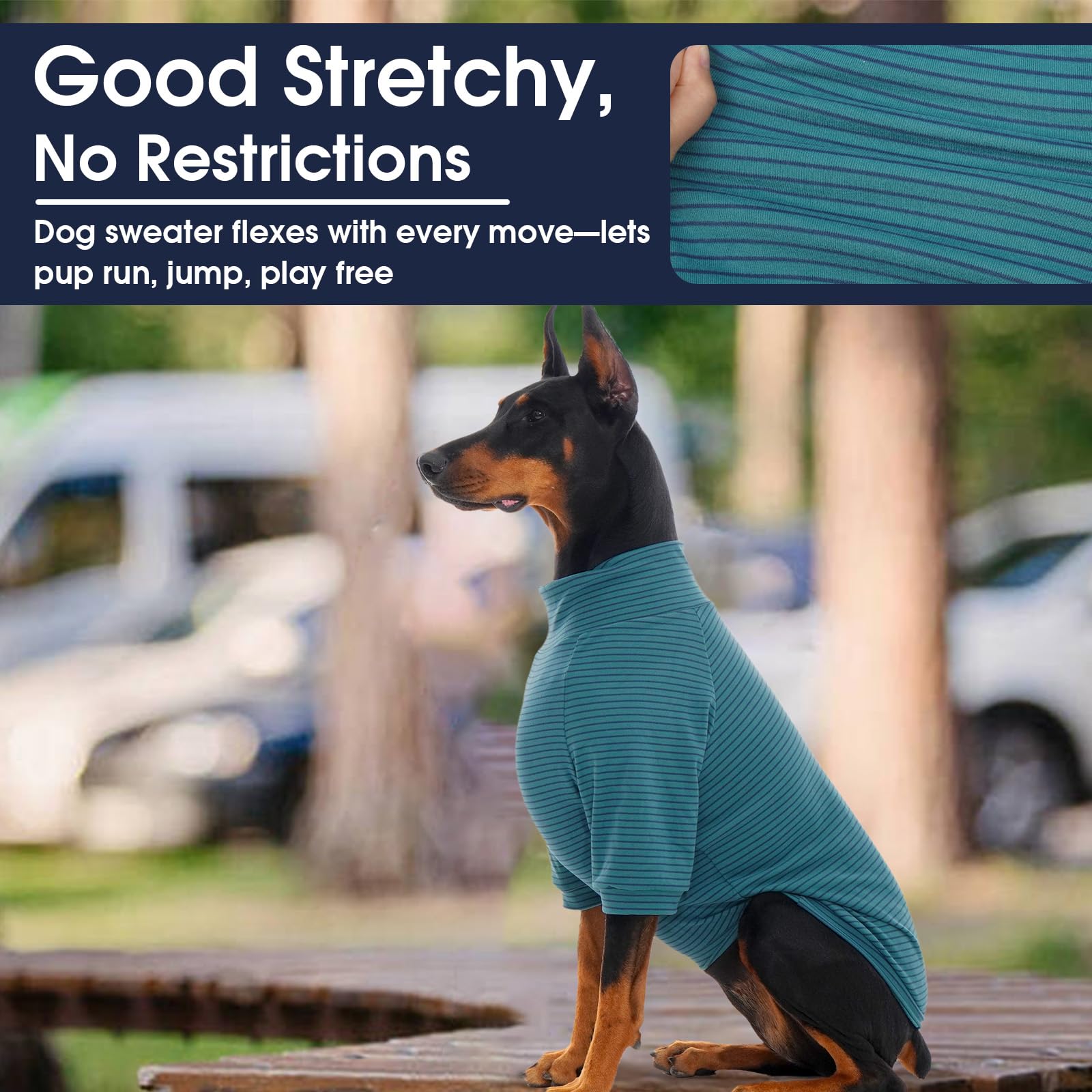 IECOii gilet polaire chien XXL – intérieur moelleux pour chaleur sans effort.