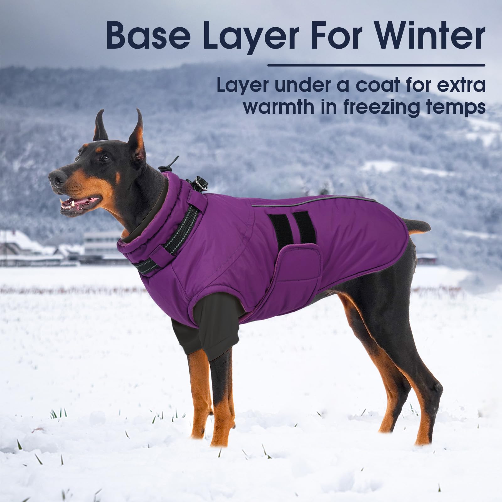 IECOii gilet polaire chien XXL – lavage en machine facile pour l’entretien rapide.