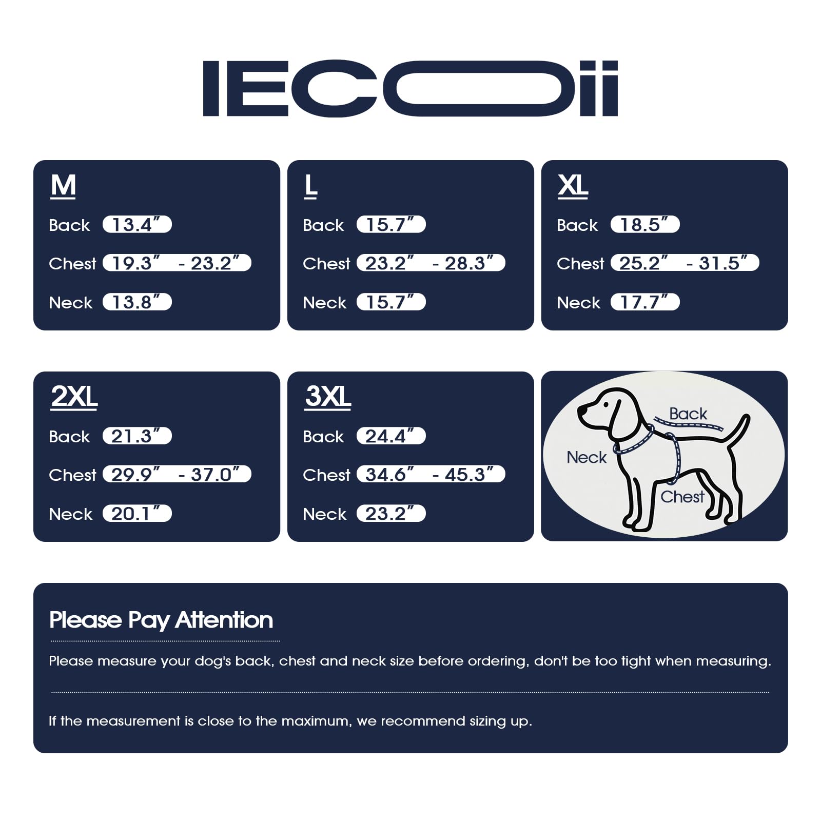 Gilet IECOii avec anneau d’attache pour promenade simple et sécurisée.