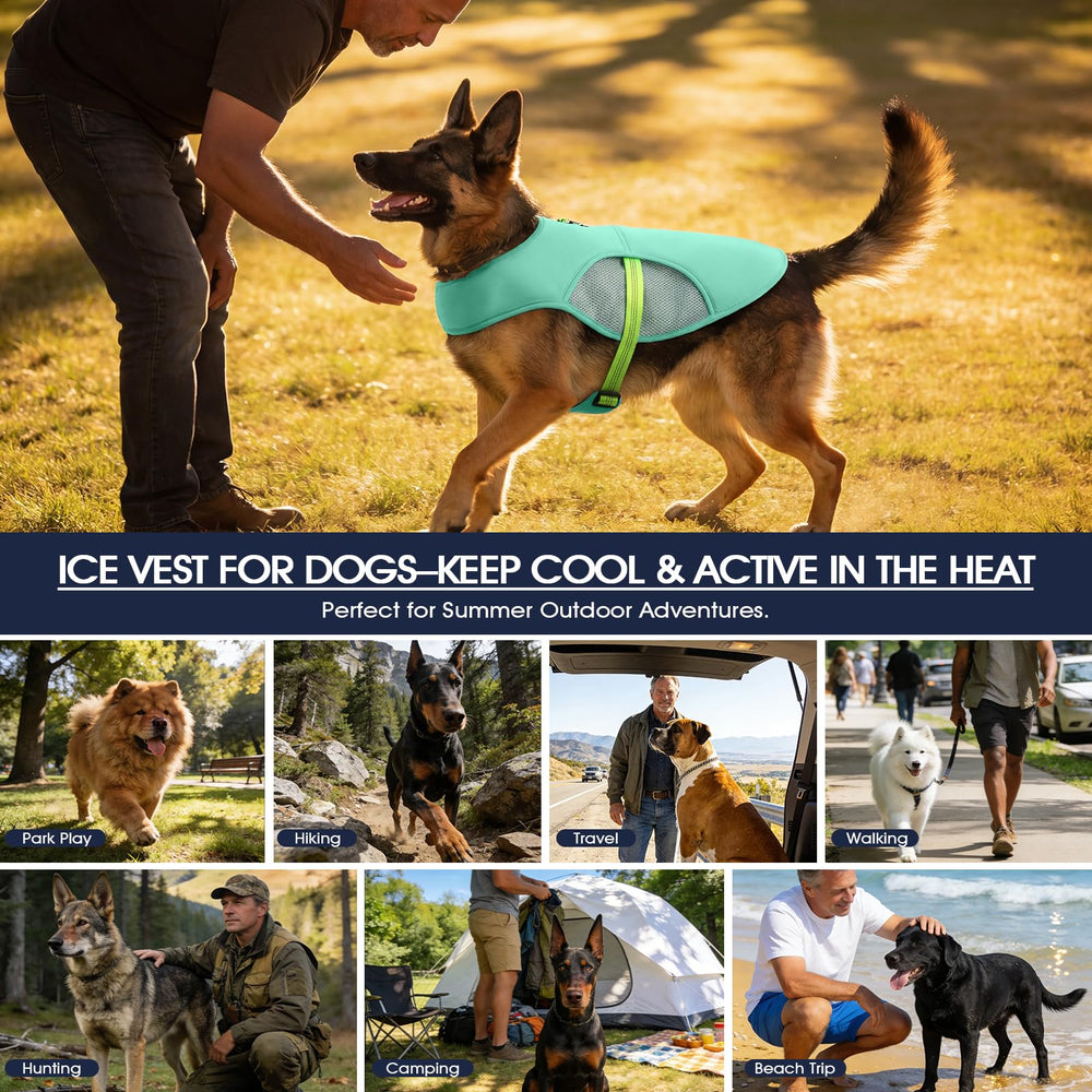 Gilet IECOii taille 2XL conçu pour chiens à poitrine large.
