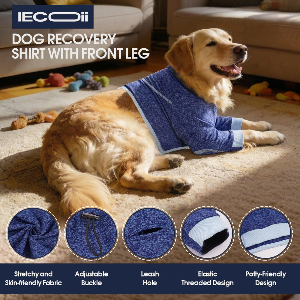 Guide des tailles 4XL IECOii pour grands chiens bleus.