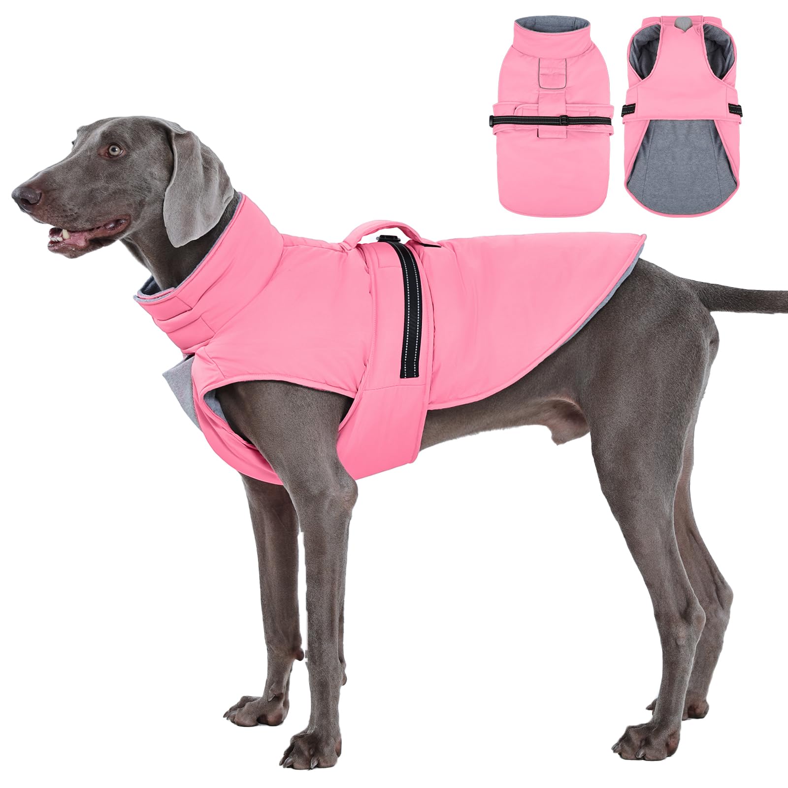 IECOii manteau chien bandes réfléchissantes pour une visibilité nocturne accrue