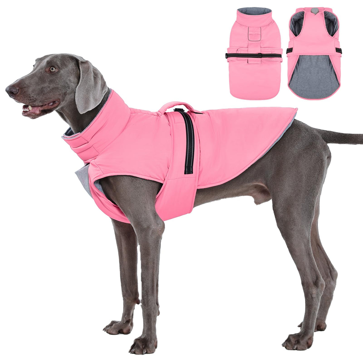 IECOii manteau chien bandes réfléchissantes pour une visibilité nocturne accrue