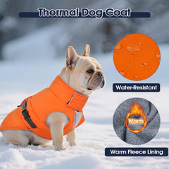 Manteau IECOii chien avec boucle et ceinture stable lors des activités.