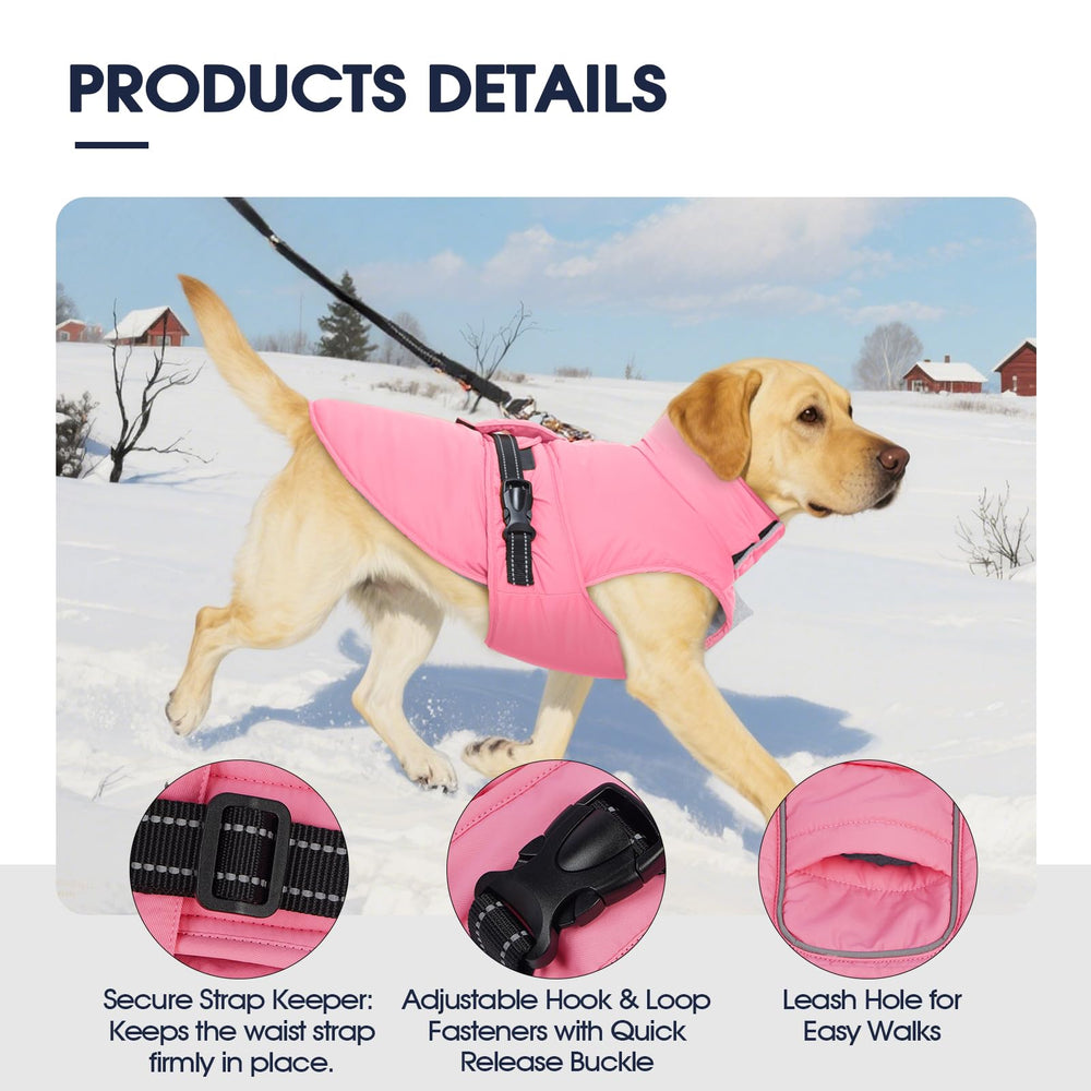 IECOii manteau chien ceinture sangle stable pour activité en extérieur