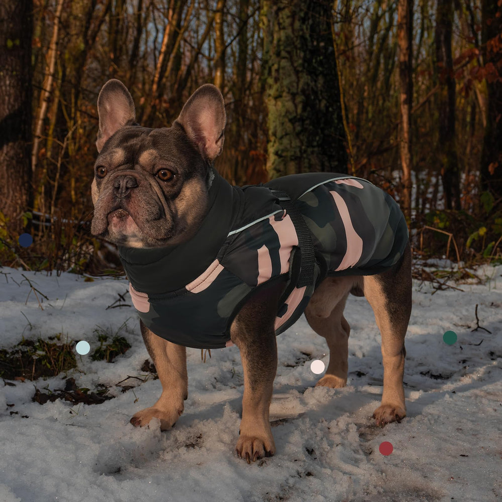 Manteau IECOii col roulé en polaire doux pour le confort pendant les sorties par temps froid.