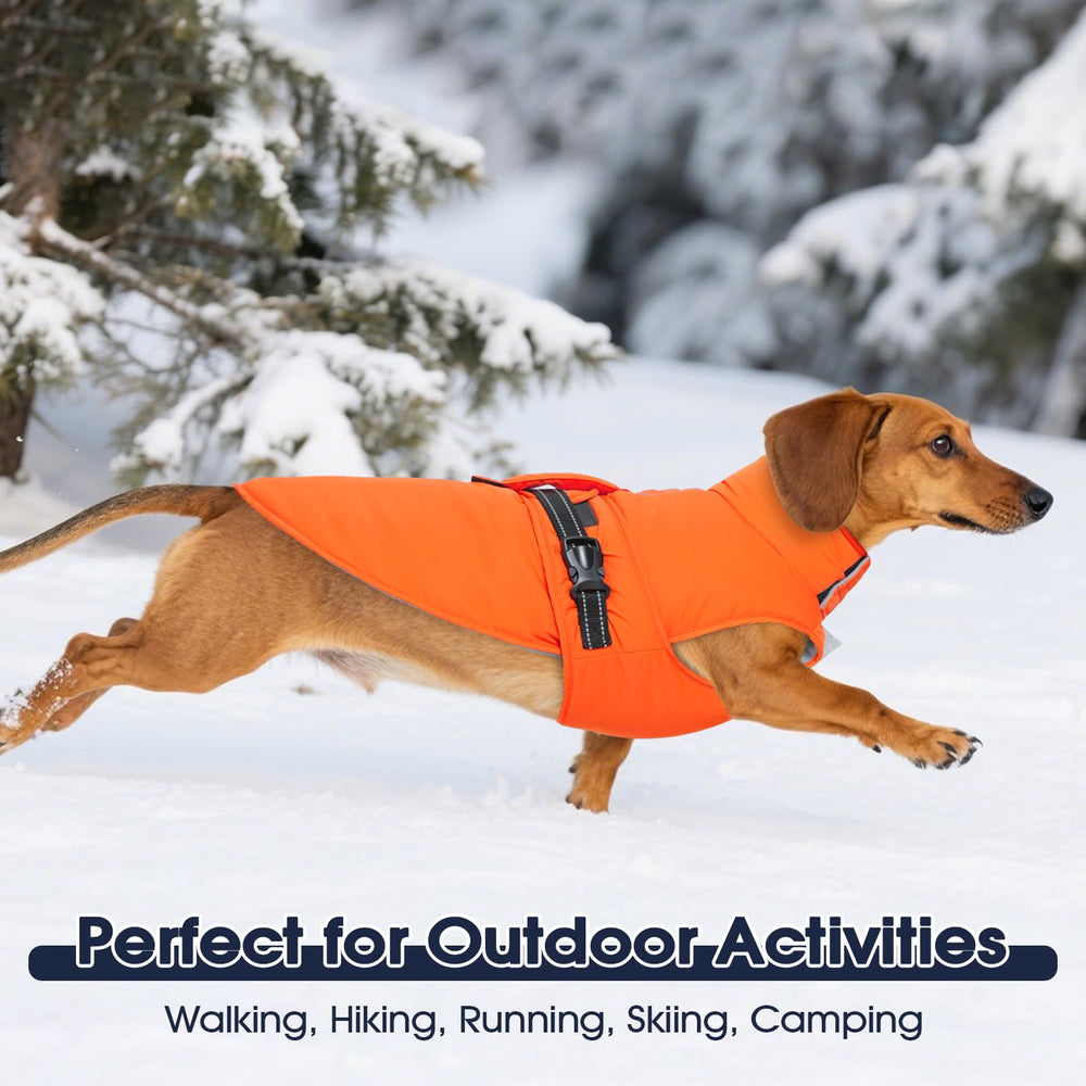 Manteau IECOii chien dos long environ 85 cm, parfait pour grands chiens.