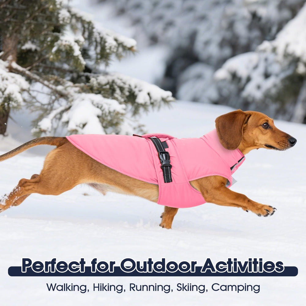 IECOii manteau chien imperméable coupe-vent protection légère