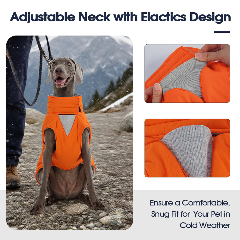 Manteau IECOii chien avec ouverture pour harnais et passage de sangle.