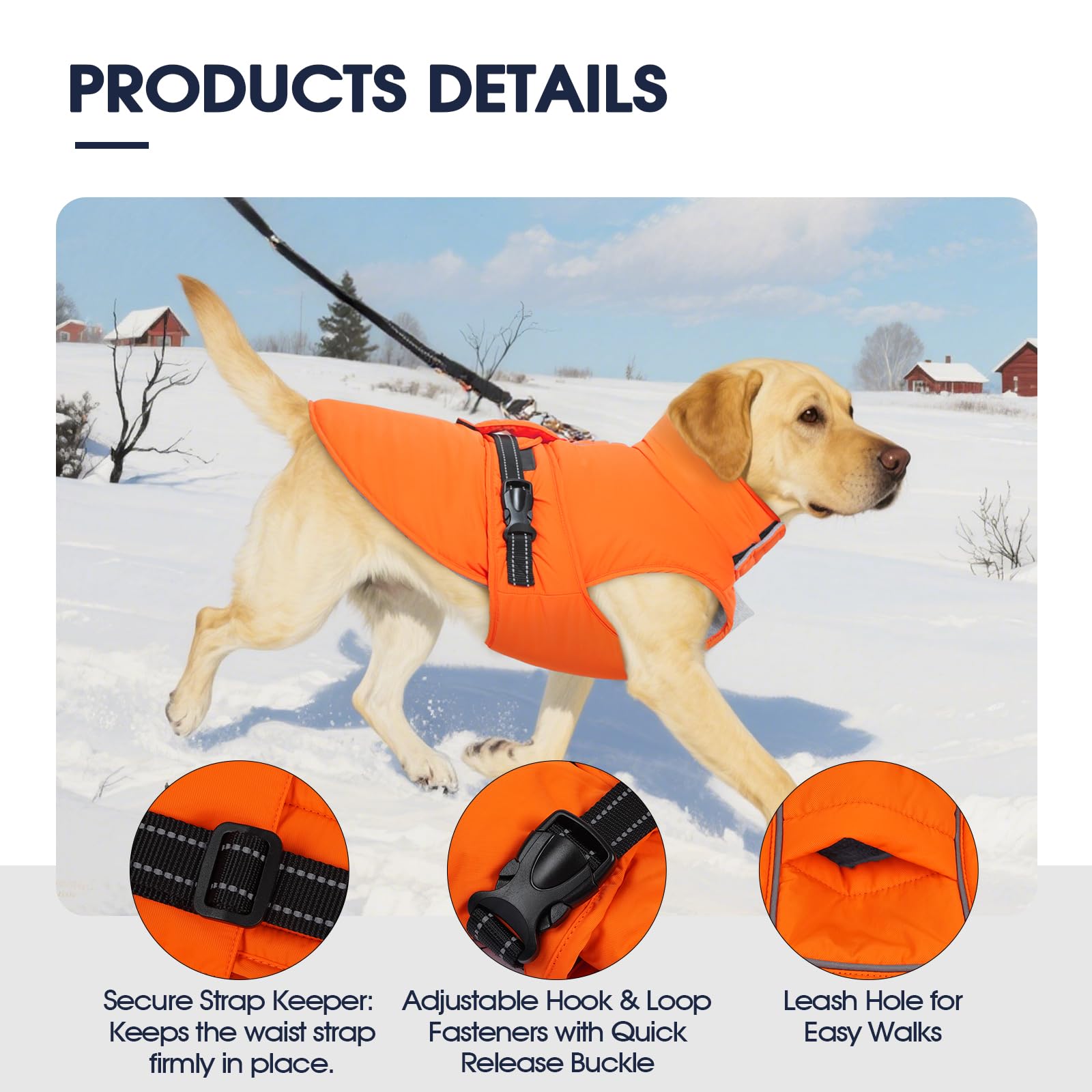 Manteau IECOii chien avec bandes réfléchissantes pour sécurité nocturne.