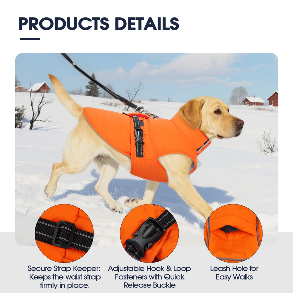 Manteau IECOii chien avec bandes réfléchissantes pour sécurité nocturne.