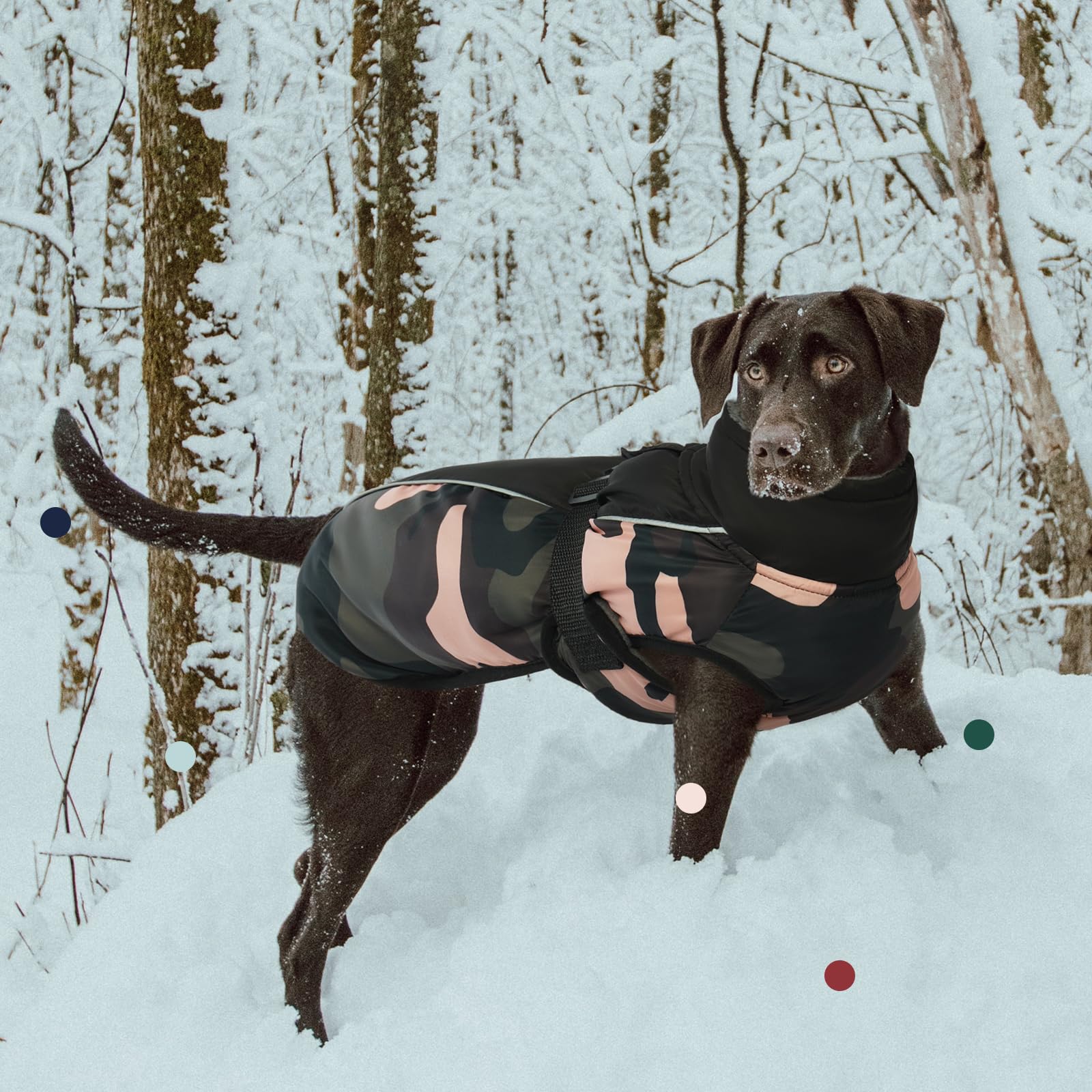 Manteau IECOii, sangles élastiques pour pattes et maintien durant les jeux.