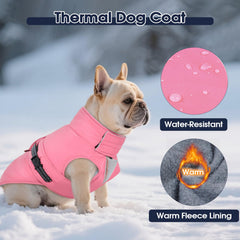 IECOii manteau chien trou attache harnais pratique pour promenades
