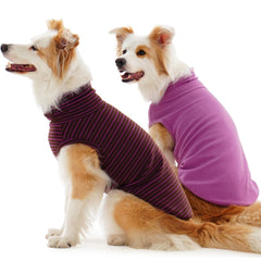IECOii pull chien col roulé XL, chaleur enveloppante pour grands chiens