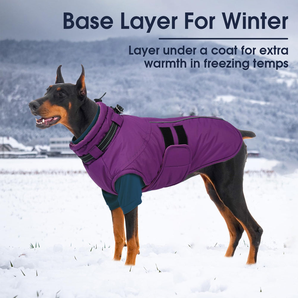 IECOii pull-chien-fleece utilisation intérieur et extérieur, lavage en machine pratique.