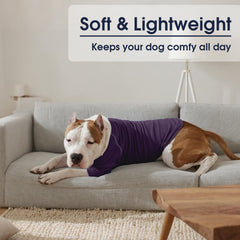 IECOii pull-chien grand-danois utilisation saisons – idéal printemps, automne et hiver.