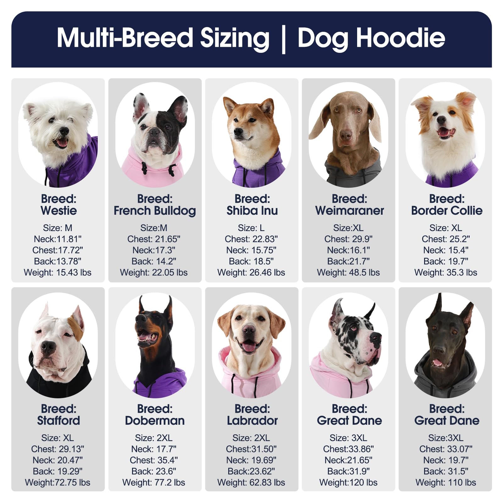 IECOii pull-chien-grand couleur violet, élégant pour les grandes races.