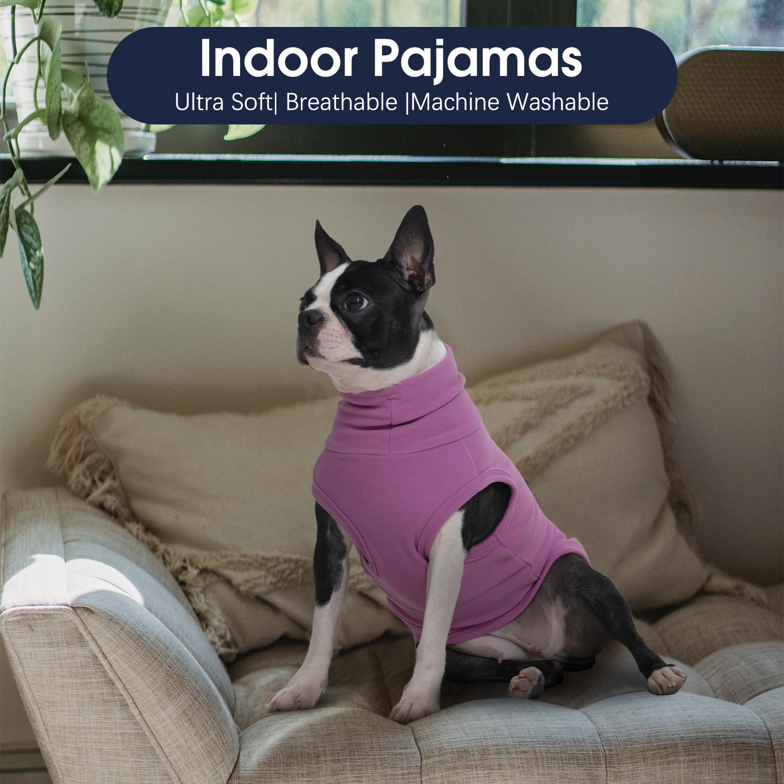 IECOii pull chien idéal pour hiver, chaleur légère et confort