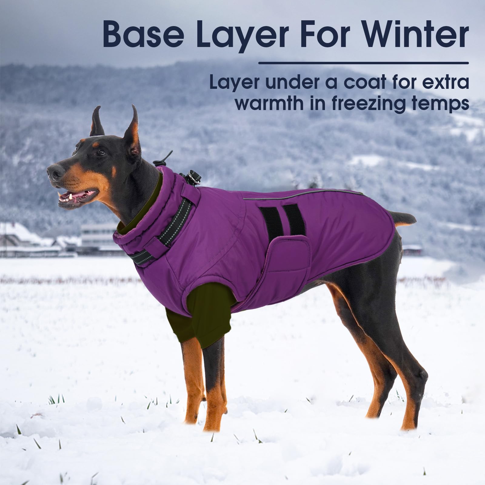 IECOii pull-chien polaire XXXL ensemble complet, design simple et fonctionnel