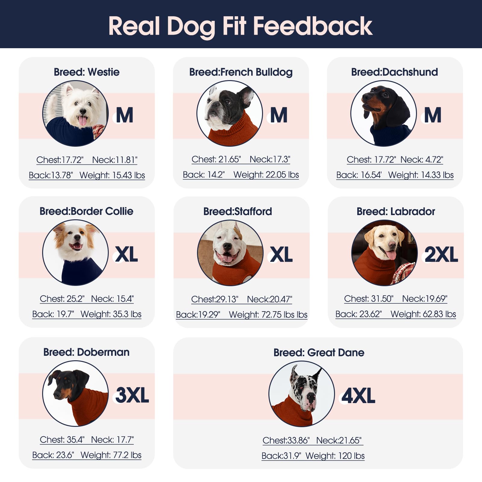 Positionnement du pull IECOii XL sur chien, allure chic et décontractée.