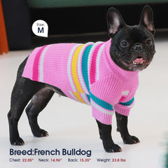 Pull d’hiver IECOii XXL rose, enfilage facile pour chien.