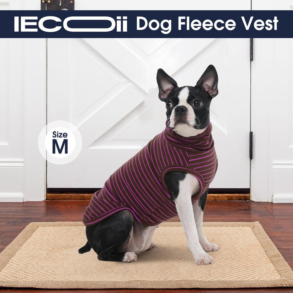 Guide tailles 5XL IECOii, exemple pour grandes races et chiens géants.