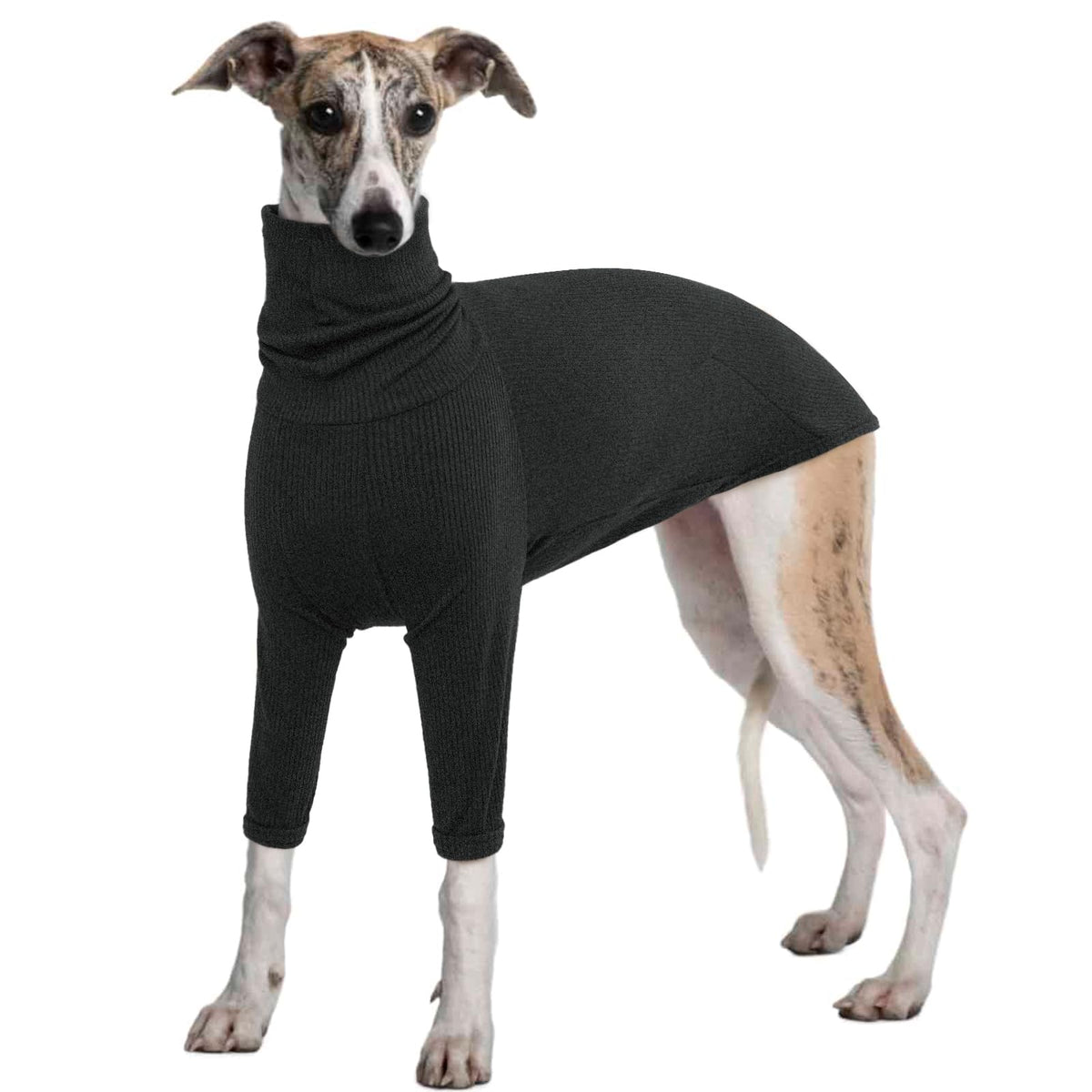 IECOii pull-hiver-greyhound: chaleur confortable pour les sorties hivernales.