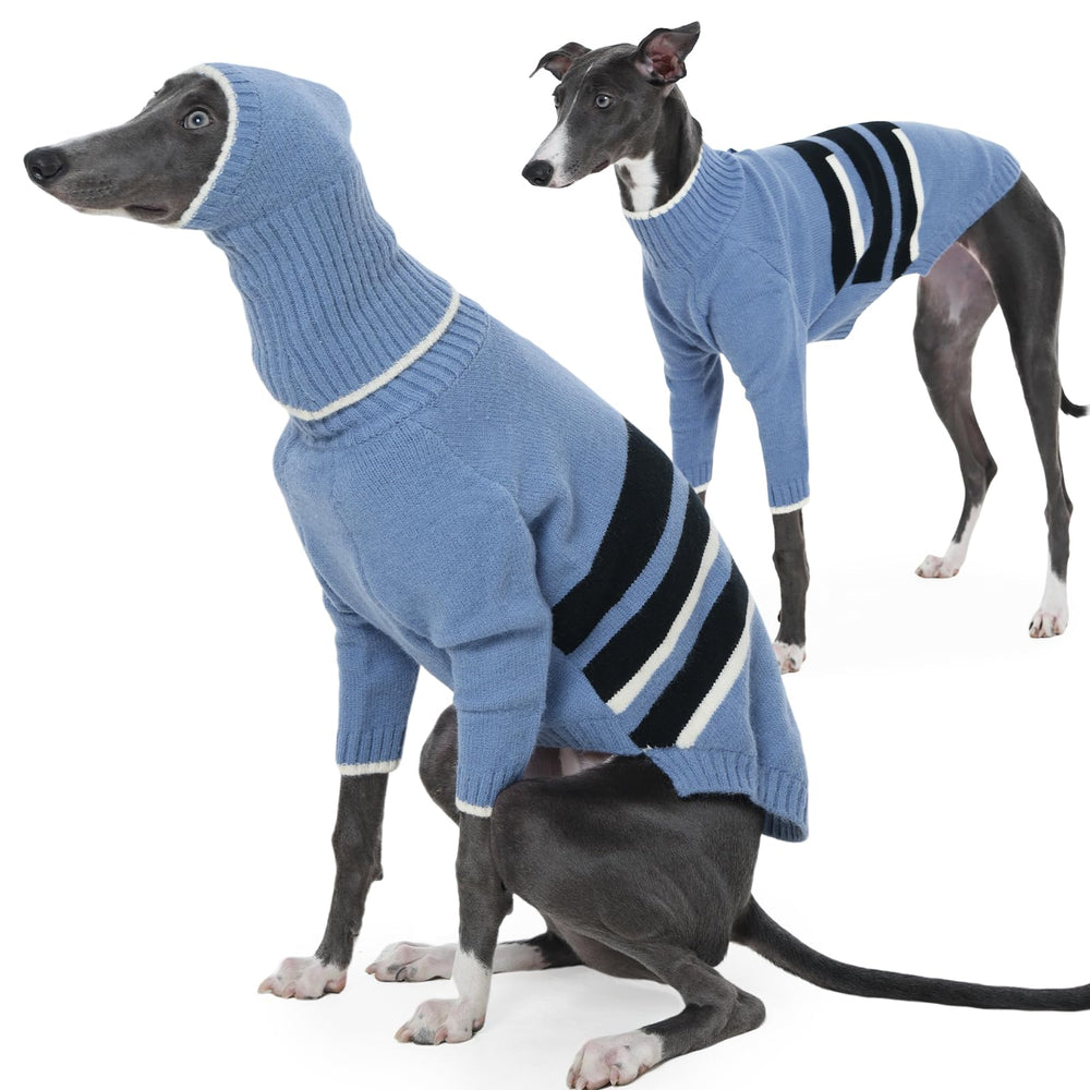 Pull IECOii pour lévriers bleu avec capuche, confort optimal.