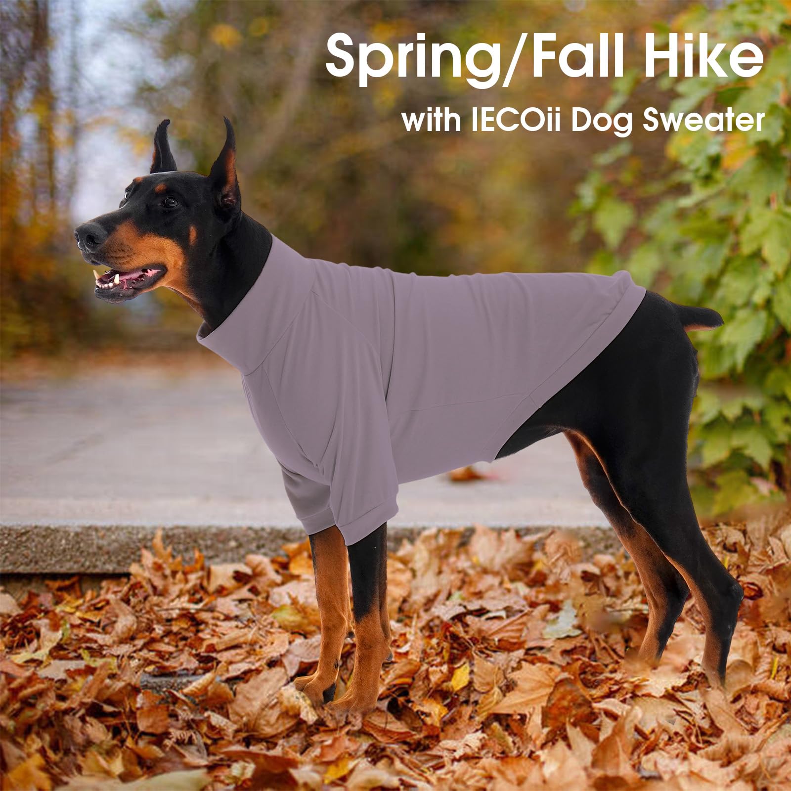 IECOii pull polaire chien intérieur extérieur, confort en toutes saisons.