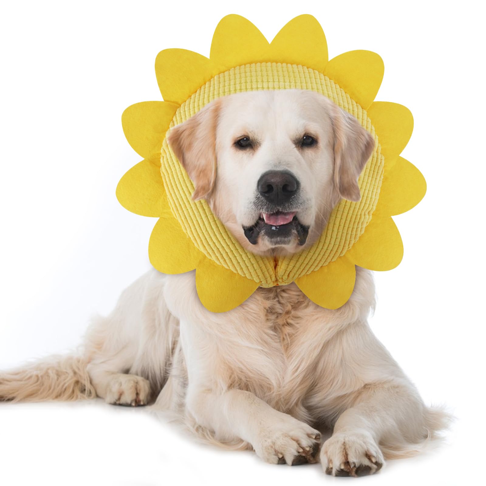 IEUUMLER collier gonflable pour chiens et chats, protection post-chirurgie, tournesol XL.