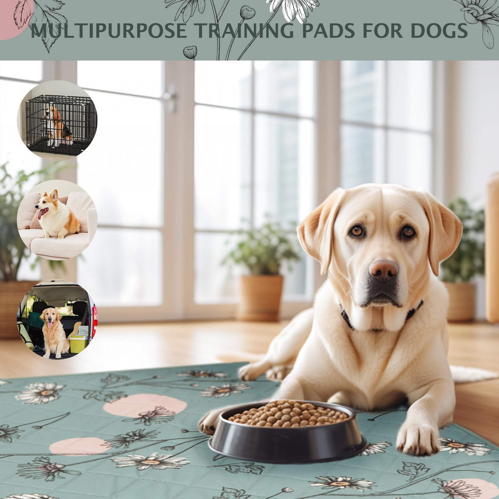 IEUUMLER Design Daisy, tapis chic qui protège surfaces et décore l'intérieur.