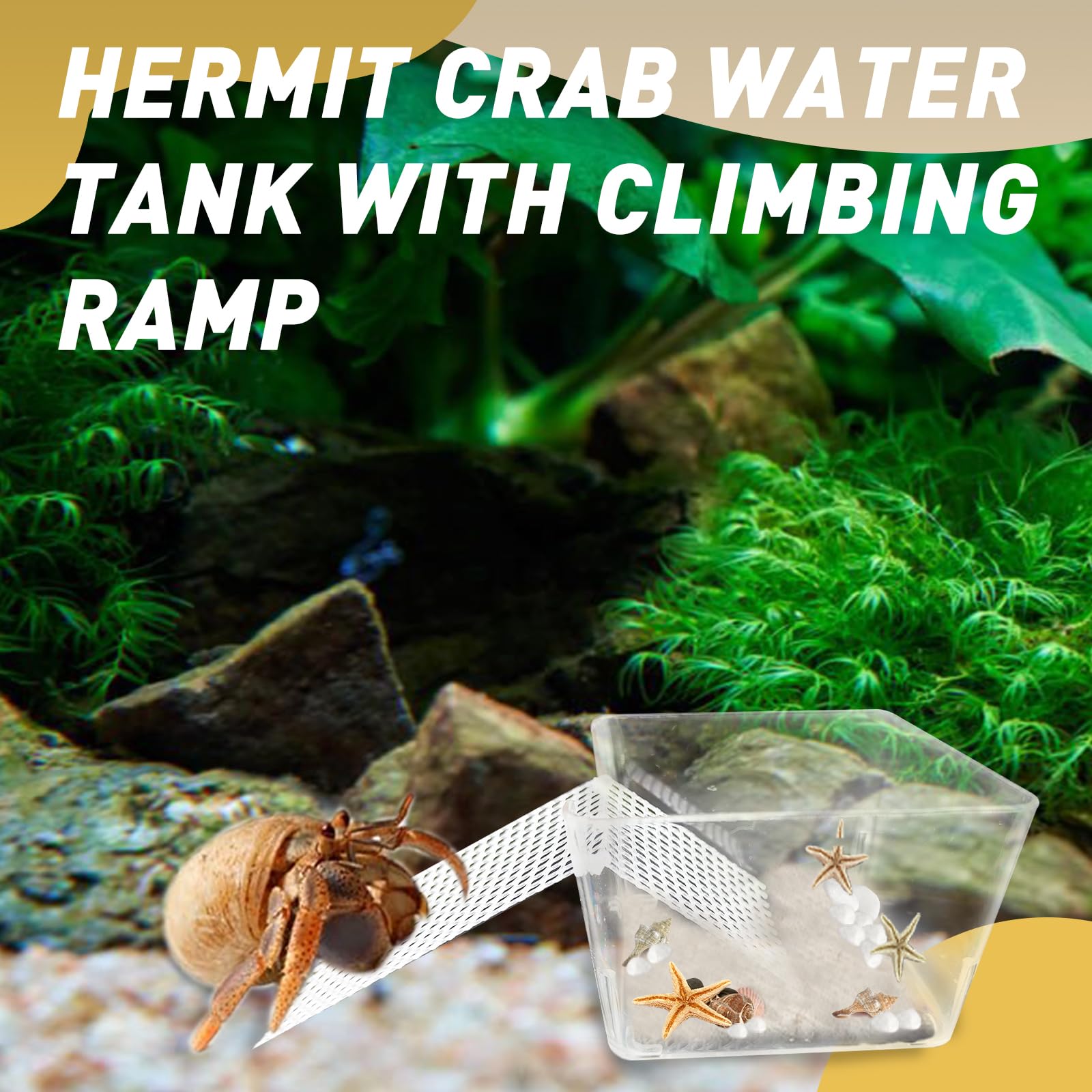 Iffitya matériaux robustes et construction fiable pour crabe ermite, habitat sûr.