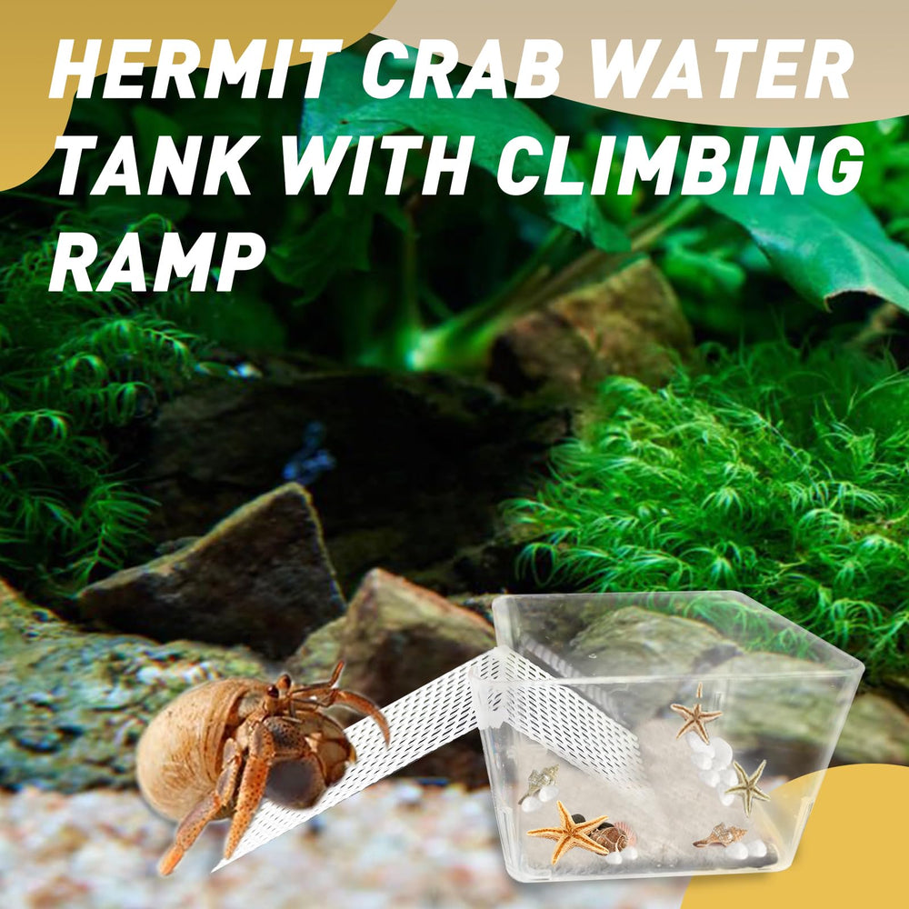 Iffitya matériaux robustes et construction fiable pour crabe ermite, habitat sûr.