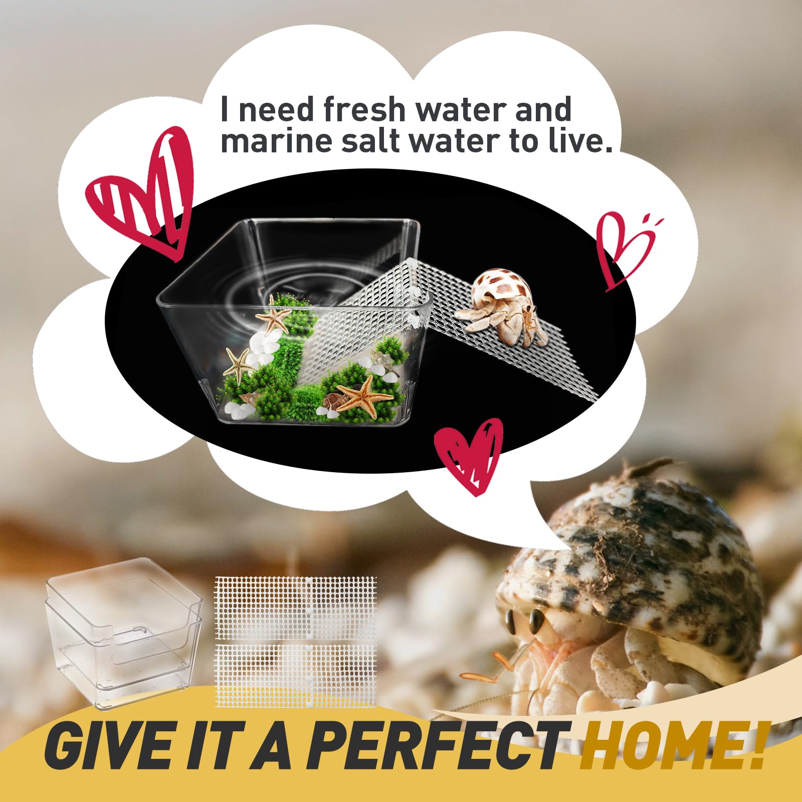Iffitya tank durable pour crabe ermite, sécurité et longévité pour l habitat.