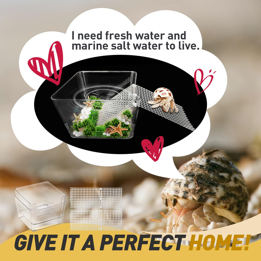 Iffitya tank durable pour crabe ermite, sécurité et longévité pour l habitat.