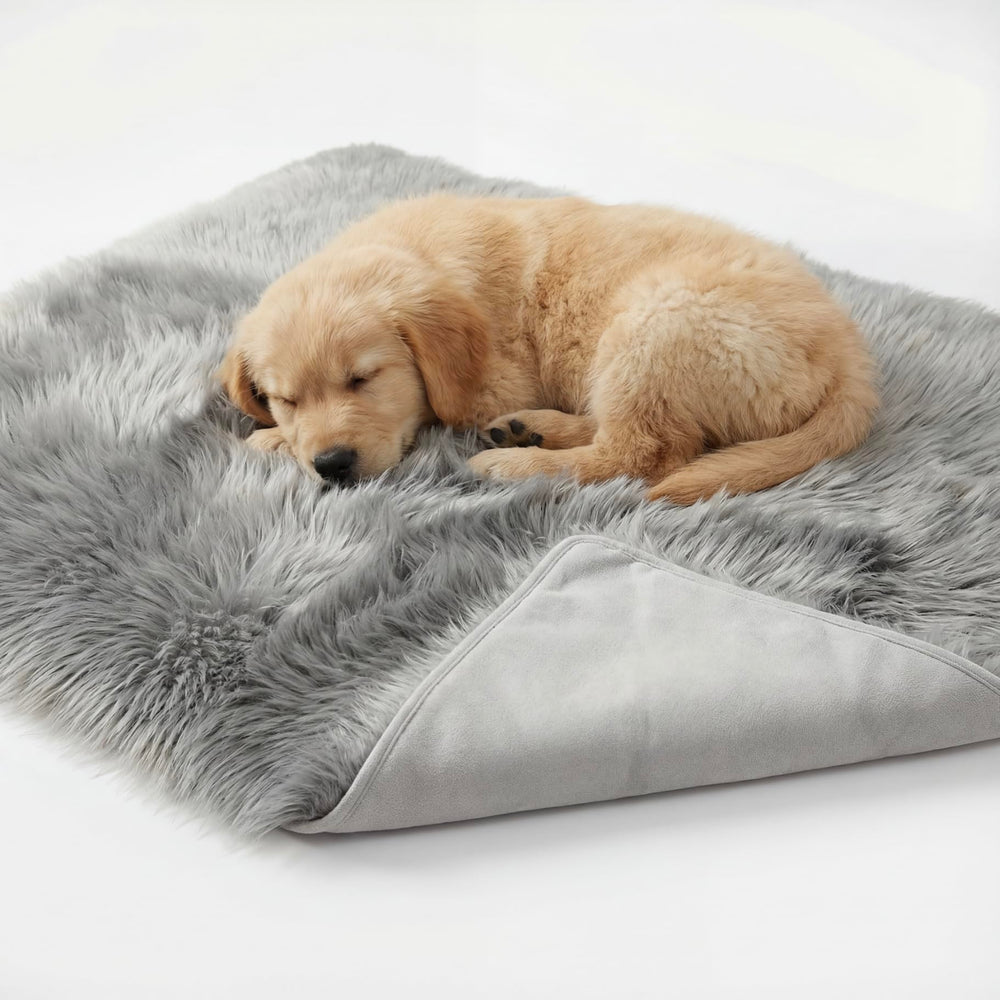 IHAPPYDOG couverture impermable 50x60 protege lit et sofa des accidents