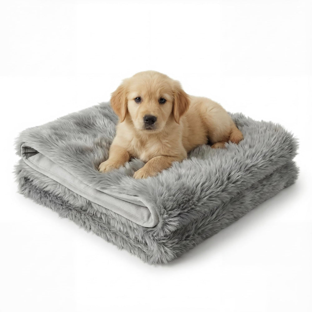 IHAPPYDOG couverture impermable 60x80 ideale grand chien et canapé