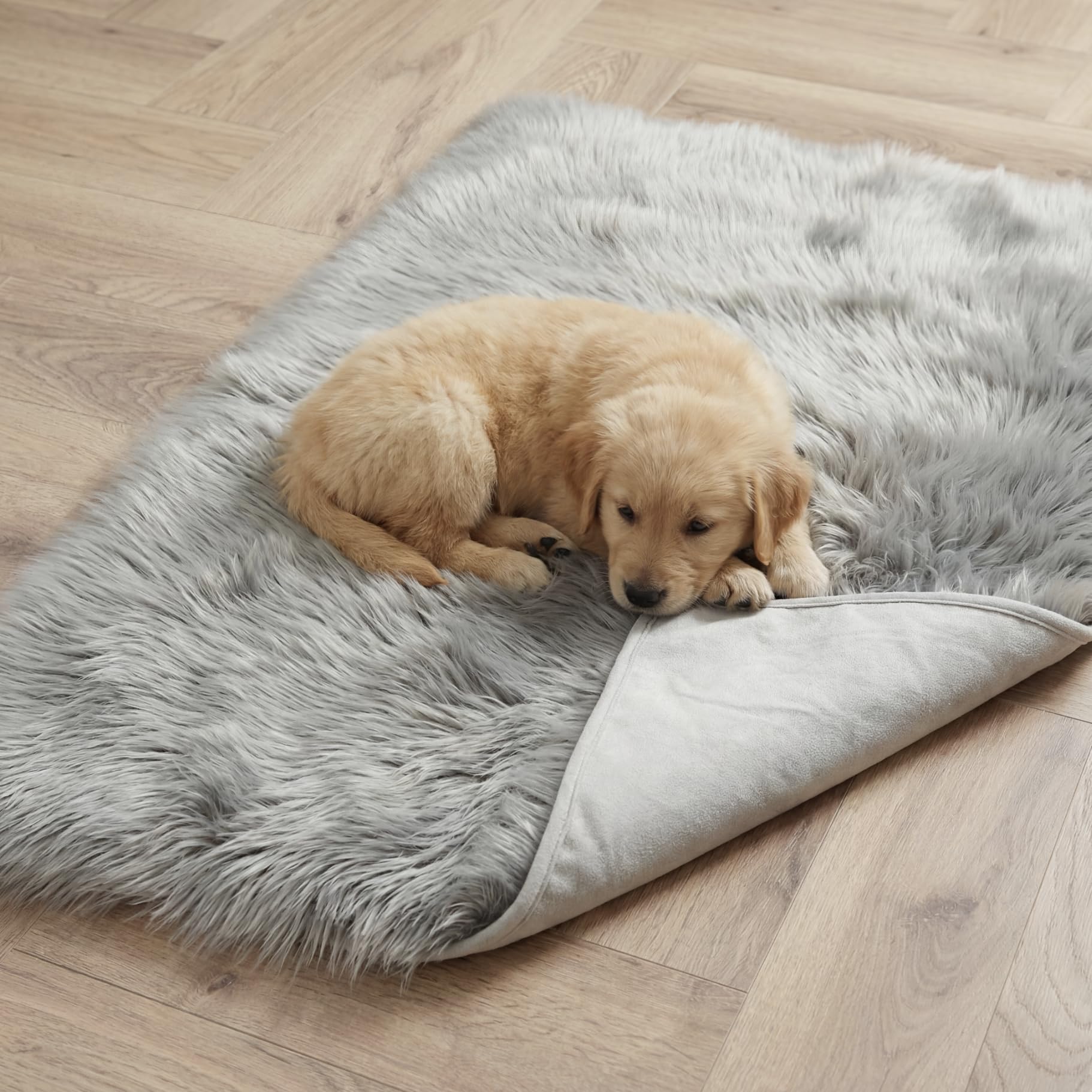 IHAPPYDOG protegee-siege voiture impermable gris pratique voyages