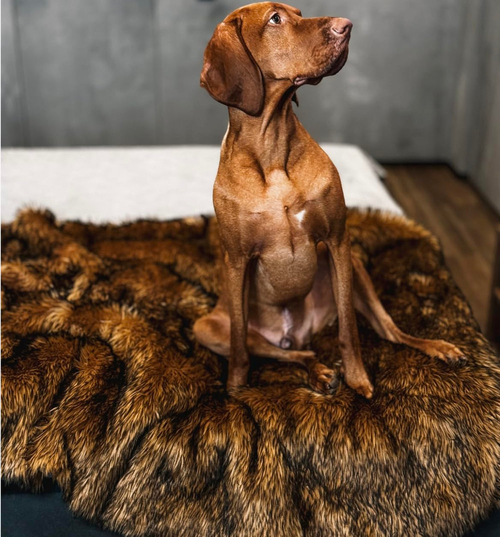 IHAPPYDOG confort en fausse fourrure pour chien brun idéal pour des siestes douces.