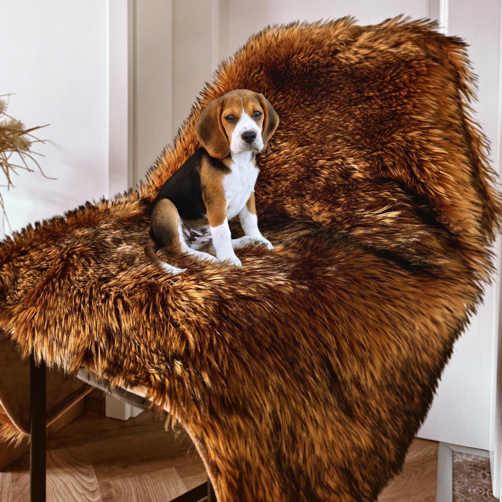 IHAPPYDOG design luxe brun couleur chaude et toucher haut de gamme pour un intérieur confortable.