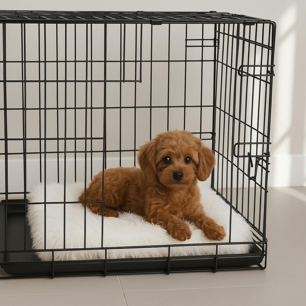 IHAPPYDOG entretien facile et nettoyage rapide grâce à la housse lavable.