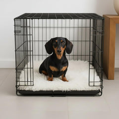 IHAPPYDOG forme rectangulaire adaptée à la caisse pour un repos rassurant.