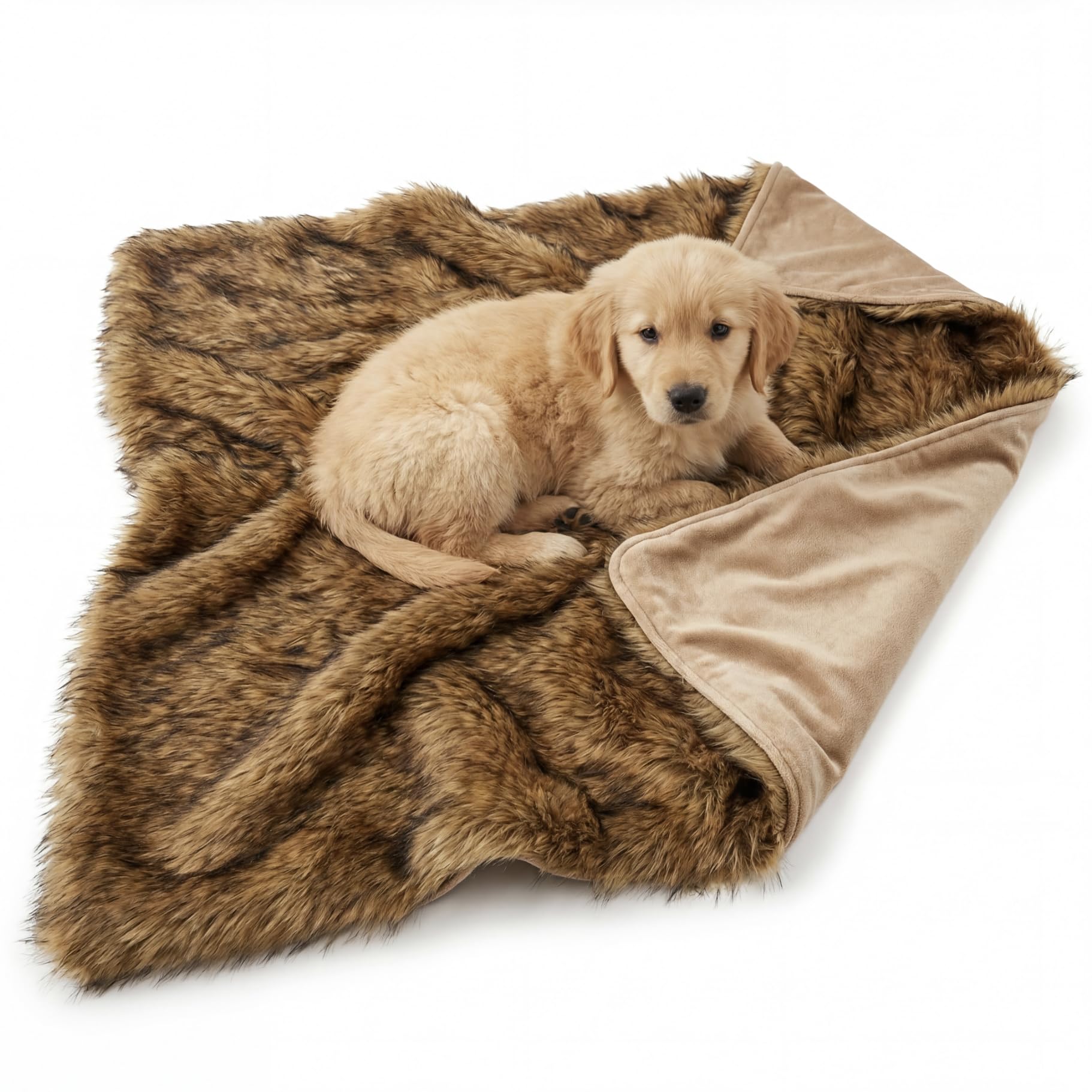 IHAPPYDOG protection canapé et voiture, idéale pour trajets et moments de repos.