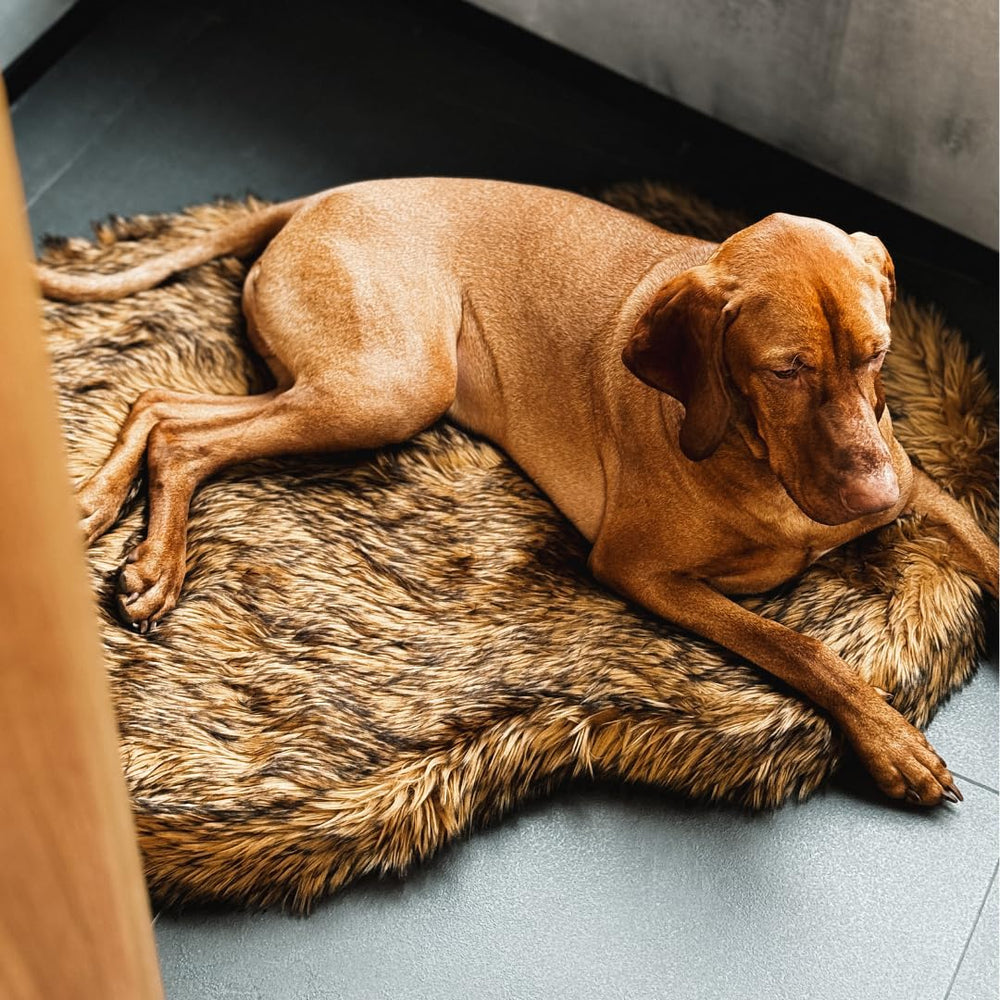 Quatre tailles IHAPPYDOG disponibles, ajustement parfait selon la morphologie.