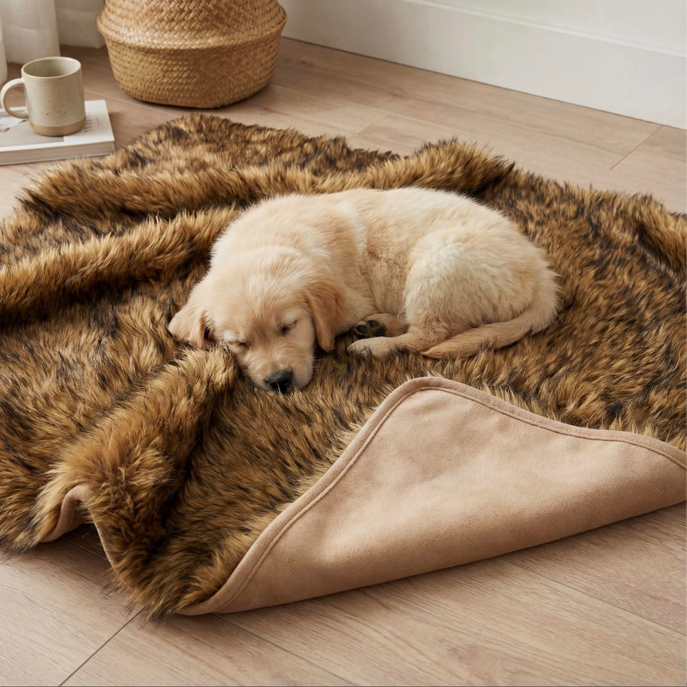 IHAPPYDOG utilisation polyvalente domicile et voyage: couverture, protège-canapé et tapis.