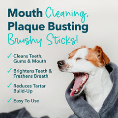 iHeartDogs Brushy Sticks aide à réduire la plaque et le tartre.