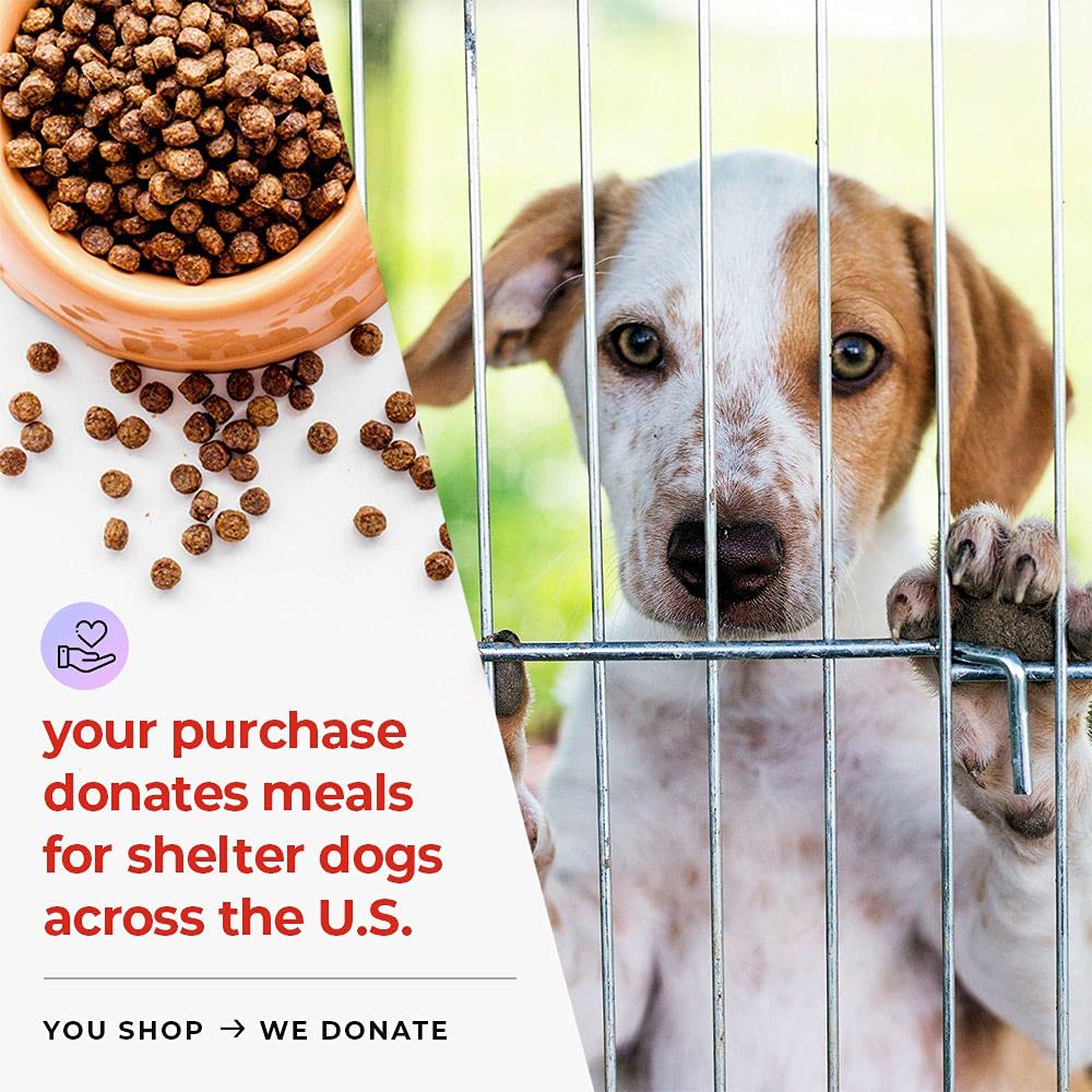 iHeartDogs detox naturel chien, potentiel effet détoxiquant via la formule