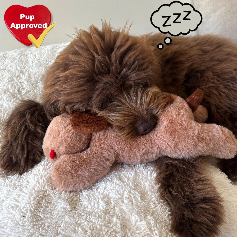 iHeartDogs don refuges, jouet offert à un chien en refuge
