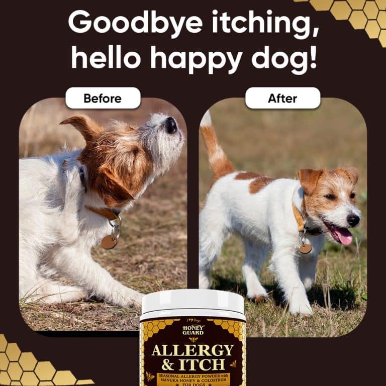 iHeartDogs Honey Guard quercetine – aide potentielle à moduler les réactions allergiques.